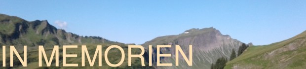 Collage 2017-12-25 14_58_49 (2)