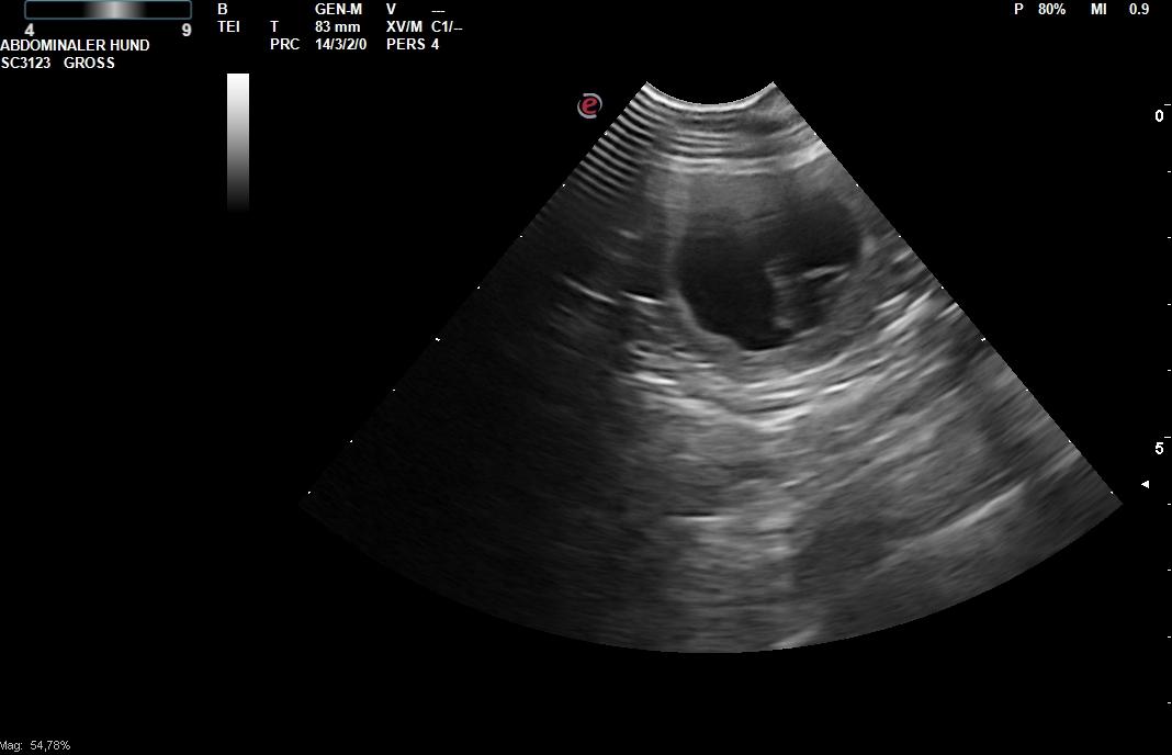 89368_KramserTheresia_AmiraDallaCavinzia_20140514_00_0001_0000